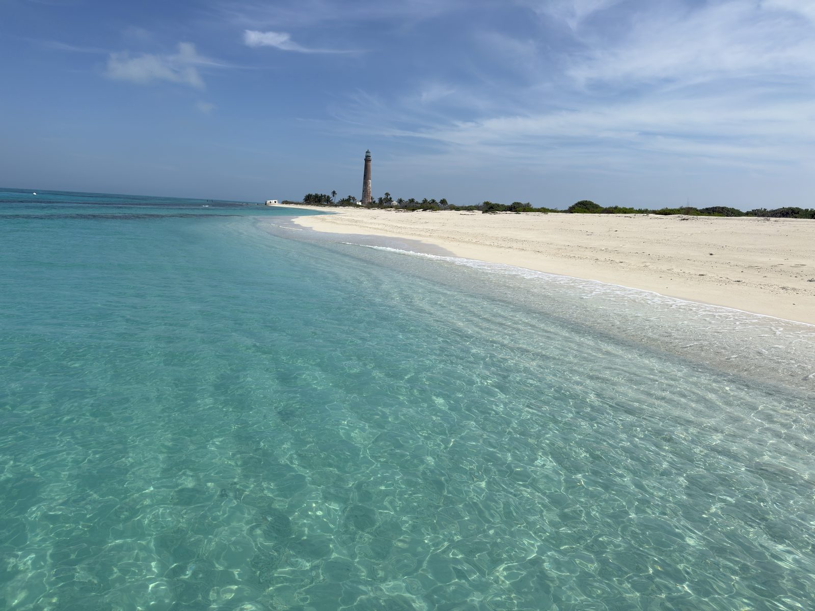 Guests on a private Dry Tortugas charter from Key West
