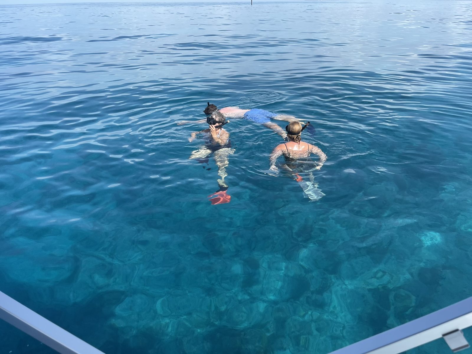 Guests on a private snorkeling charter in Key West
